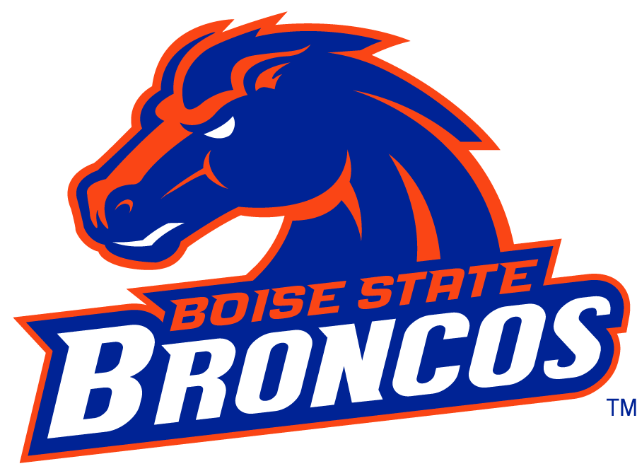 Boise State Broncos 2002-2012 Secondary Logo v10 iron on transfers for T-shirts